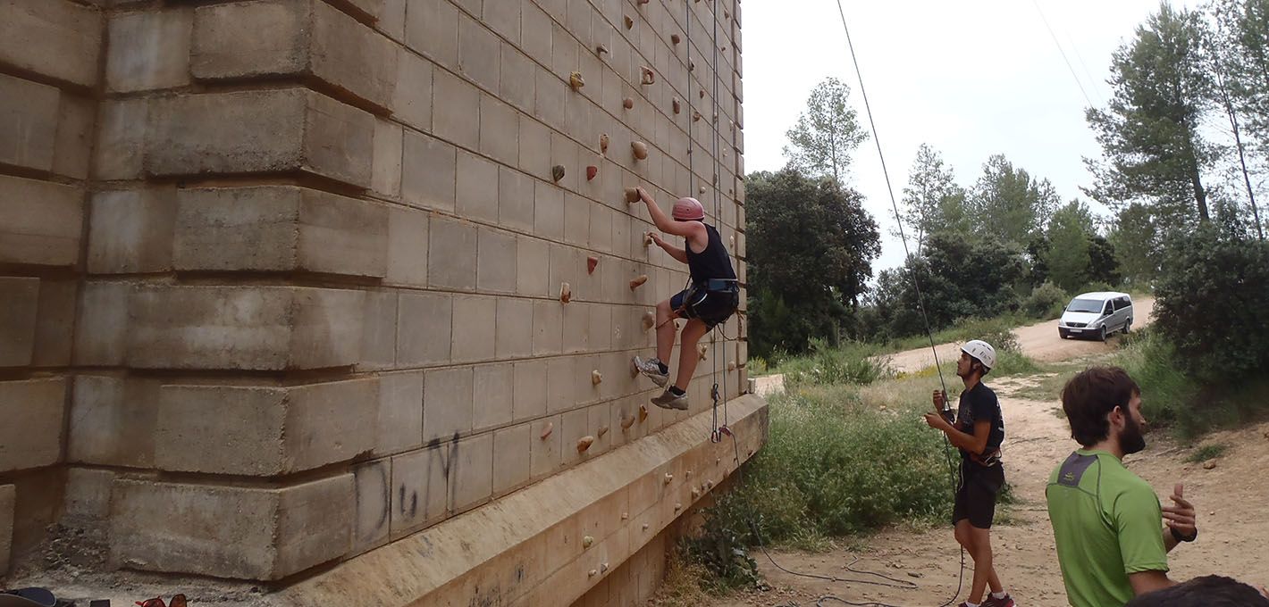 Multiactividad